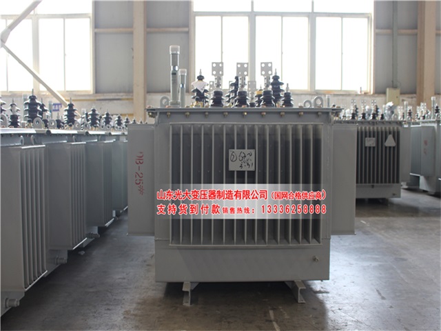 商洛S22-4000KVA油浸式变压器